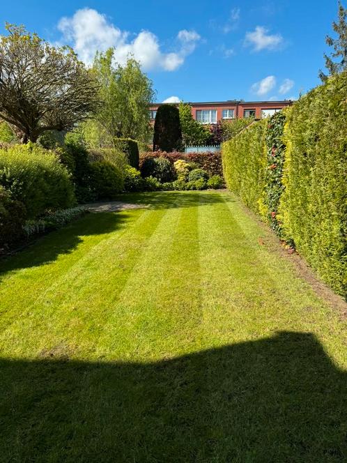 Tuinman, Diensten en Vakmensen, Tuinmannen en Stratenmakers, Tuin- of Vijveraanleg, Tuinonderhoud of Snoeiwerk, Garantie