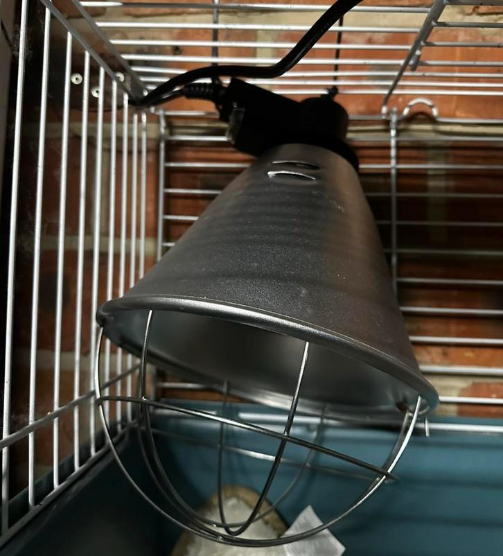 Warmtelamp, Dieren en Toebehoren, Pluimvee | Toebehoren, Nieuw, Overige typen, Ophalen
