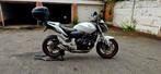 Honda Hornet CB600F, Particulier