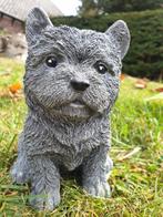 beeld van een hond , puppy ,kado, Ophalen of Verzenden, Nieuw, Steen