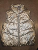 Bodywarmer, Ophalen of Verzenden