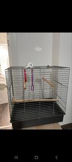 Papegaai kooi - Cage Perroquet, Dieren en Toebehoren, Ophalen of Verzenden, Zo goed als nieuw