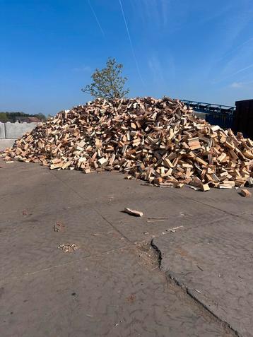 Droog brandhout  Eik & Beuk HARDHOUT Kachelhout/Brandhout beschikbaar voor biedingen