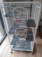 Cage rongeurs, Dieren en Toebehoren, Knaagdieren en Konijnen | Hokken en Kooien, Ophalen, Kooi, Gebruikt, Hamster