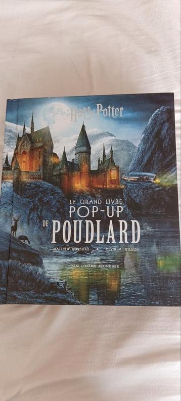 Het grote pop-upboek van Hogwarts (1130 Brussel Haren) beschikbaar voor biedingen