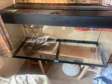 Aquarium beschikbaar voor biedingen