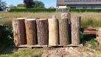 Nagelblokken verschillende houtsoorten 90 cm hoog, Ophalen, Stammen