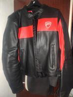 Veste Ducati, Motoren