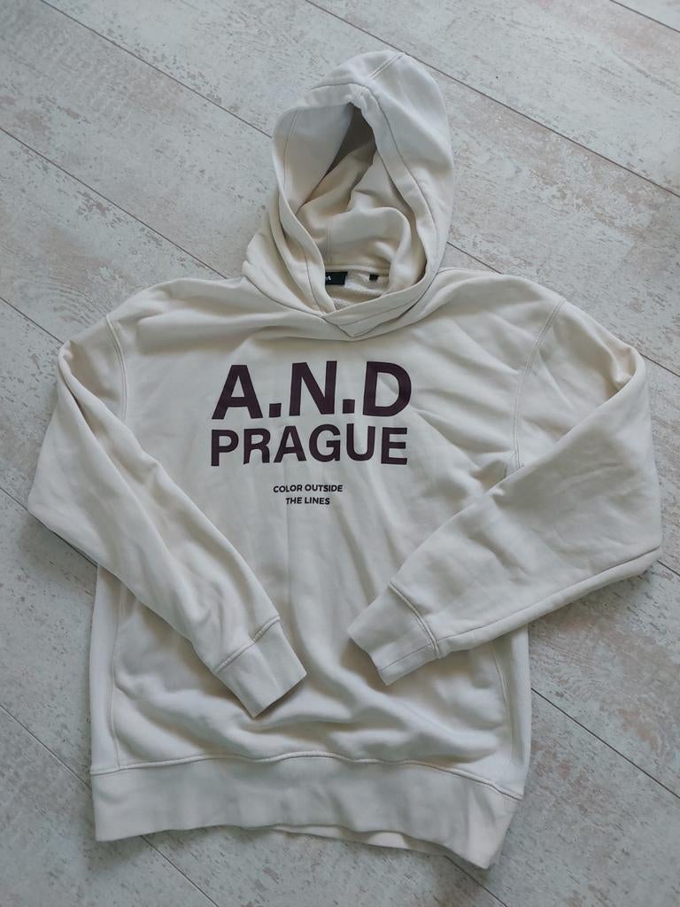 Sweater C&A Maat S (Nieuwstaat), Vêtements | Hommes, Pulls & Vestes, Enlèvement ou Envoi, C&A, Porté, Blanc