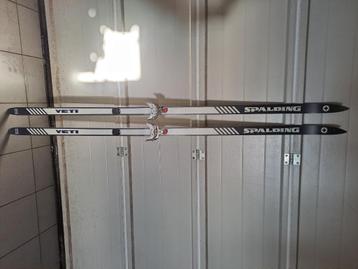 ski de fond à saisir + chaussures 36 et 38 beschikbaar voor biedingen