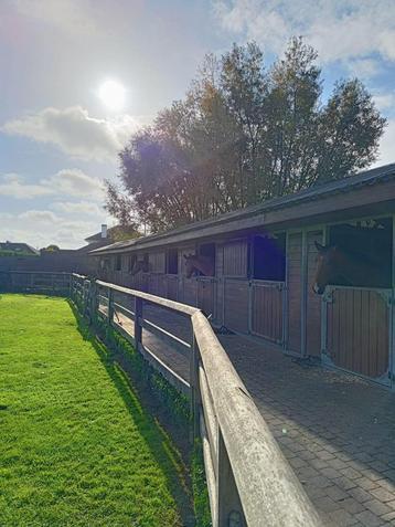 Hardhouten afsluiting de sutter