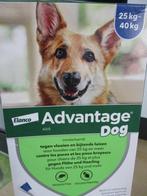 advantage dog 25-40 kg, Ophalen of Verzenden, Nieuw