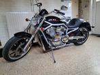 Harley Davidson V-ROD, Motos, Plus de 35 kW, Chopper, 2 cylindres, Particulier