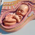 Antieke plaat in reliëf van zwangerschap, Antiek en Kunst, Curiosa en Brocante, Ophalen