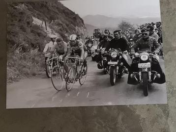  Poulidor - Anquetil  zéér unieke persfoto