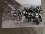 Poulidor - Anquetil  zéér unieke persfoto, Verzenden