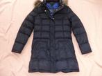 Winterjas Tommy Hilfiger L, Tommy hilfiger, Ophalen of Verzenden, Nieuw, Blauw