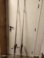 twee hengels, Watersport en Boten, Ophalen, Zo goed als nieuw, Complete set