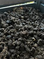 Gratis paardenmest, Ophalen