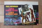 filmaffiche Paul Newman Cool Hand Luke filmposter, Rechthoekig Liggend, Ophalen of Verzenden, A1 t/m A3, Zo goed als nieuw