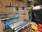 Vivarium en verre comme neuf avec éclairage et accessoires., Dieren en Toebehoren, Ophalen, Zo goed als nieuw
