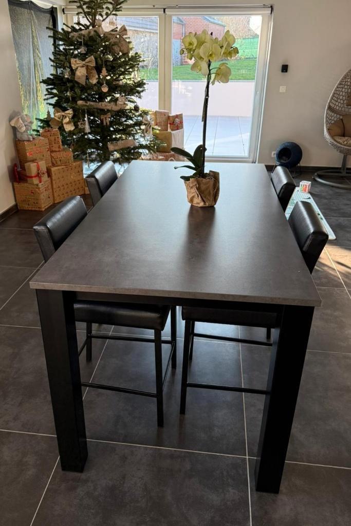 Table VARIO HPL - Salle à manger (PERFECTA), Maison & Meubles, Tables | Tables à manger, Utilisé, 50 à 100 cm, 200 cm ou plus