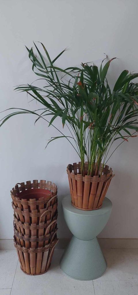Cache pot/plantenhouder in Bamboe Vintage Retro, Jardin & Terrasse, Pots de fleurs, Comme neuf, Autres matériaux, Intérieur, Balcon