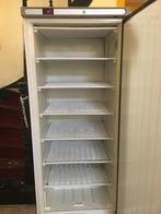 congelateur pro armoire, 60 à 90 cm, Enlèvement, Utilisé, 160 cm ou plus