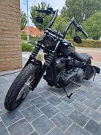 Harley Davidson Streetbob, Particulier