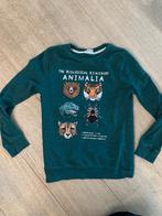 Groene trui H&M maat 134/140, Kinderen en Baby's, Kinderkleding | Maat 134, Ophalen, H&M, Trui of Vest