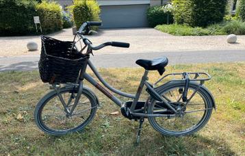 Kinderfiets Alpina 20 inch- prima staat beschikbaar voor biedingen