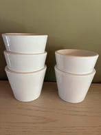 Bloempotten 5 stuks, Tuin en Terras, Ophalen, Nieuw, Steen