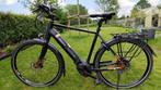 Elektrische fiets Pegasus van topklasse!, Overige merken, 50 km per accu of meer, Zo goed als nieuw, Ophalen