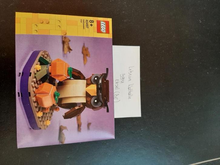 Lego 40497 Halloween Owl, Kinderen en Baby's, Speelgoed | Duplo en Lego, Nieuw, Lego, Complete set, Ophalen of Verzenden