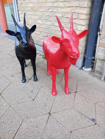 cloned goat Beaufort 2003 beschikbaar voor biedingen