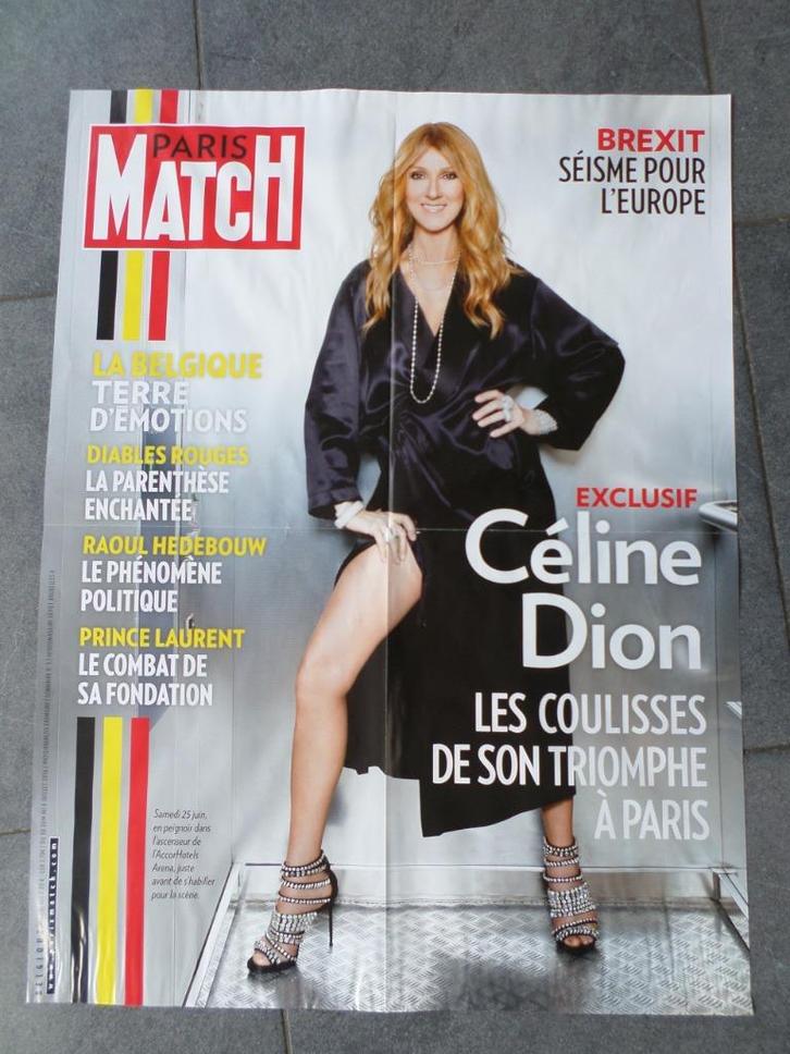 Céline Dion - 2 affiches la Une de Paris-Match - 2016, Verzamelen, Posters, Gebruikt, Muziek, A1 t/m A3, Rechthoekig Staand, Ophalen of Verzenden