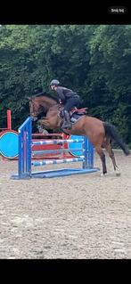6-jarige Ruin met potentieel, Ruin