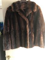 3 mooie winterjassen :  1 pels, 1 teddy, Kleding | Dames, Ophalen of Verzenden
