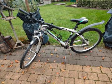 Mountainbike Bottechia  beschikbaar voor biedingen