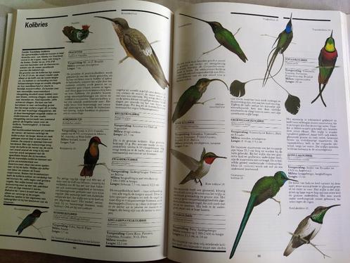 boek: de wereld van de vogels (Spectrum Natuurgids), Boeken, Natuur, Zo goed als nieuw, Vogels, Ophalen of Verzenden