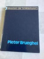 boek  Pieter Brueghel uitg rotterdam, Ophalen of Verzenden