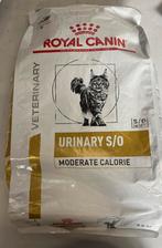 Royal Canin Urinary S/O Moderate Calorie Kattenvoer, Dieren en Toebehoren, Ophalen, Kat
