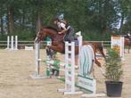 Beloftevolle 3-jarige, Dieren en Toebehoren, E pony (1.48m - 1.57m), Gechipt, Ruin, Springpony