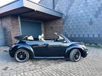 ,,Voor de liefhebber “ new beetle cabrio, Autos, Volkswagen, Cuir, Achat, Beige, Cabriolet