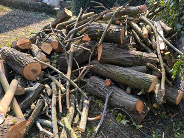 Bois de chauffage, Non résineux, Cerisier, ... beschikbaar voor biedingen