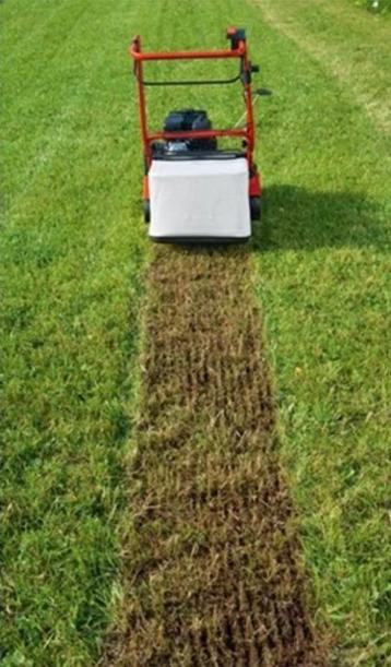 Verticuteren van u gras, Enlèvement ou Envoi, Comme neuf, Herbe
