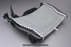 Radiateur Radiator AVDB BMW S1000RR 2015 - 2018 S 1000 RR, Motoren, Ophalen of Verzenden, Nieuw