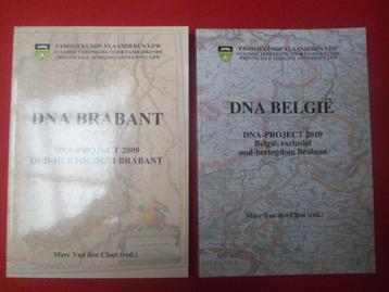 Marc Van der Cloot, Hir. M.B.A.: DNA Brabant + DNA België