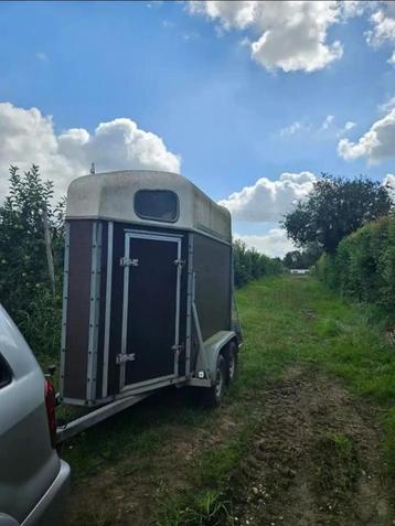 1,5 paards trailer, Dieren en Toebehoren, Paarden en Pony's | Trailers en Aanhangwagens, Ophalen, Gebruikt, Hout, 1½-paards trailer