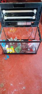 Aquarium, Enlèvement, Utilisé, Aquarium vide